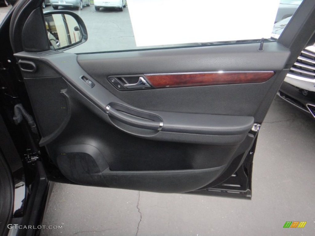 2010 Mercedes-Benz R 350 BlueTEC 4Matic Door Panel Photos
