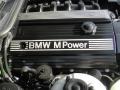 3.2 Liter DOHC 24-Valve Inline 6 Cylinder Engine for 1999 BMW M3 Convertible #77123144