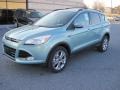 2013 Frosted Glass Metallic Ford Escape SEL 1.6L EcoBoost 4WD  photo #2
