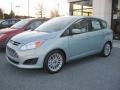 Ice Storm 2013 Ford C-Max Hybrid SE Exterior