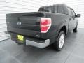 Tuxedo Black - F150 Lariat SuperCrew Photo No. 4
