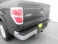 Tuxedo Black - F150 Lariat SuperCrew Photo No. 19