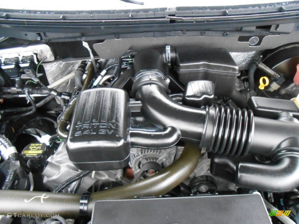 2010 Ford F150 Lariat SuperCrew 5.4 Liter Flex-Fuel SOHC 24-Valve VVT Triton V8 Engine Photo #77128214