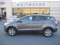 2013 Sterling Gray Metallic Ford Escape SE 1.6L EcoBoost 4WD  photo #1