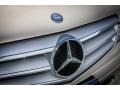 2010 Pearl Beige Metallic Mercedes-Benz C 300 Luxury  photo #28