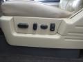 Camel/Tan Controls Photo for 2009 Ford F150 #77136290