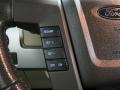 Camel/Tan Controls Photo for 2009 Ford F150 #77136438