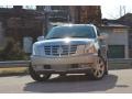 Quicksilver - Escalade EXT AWD Photo No. 7
