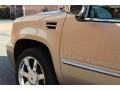 Quicksilver - Escalade EXT AWD Photo No. 17