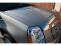 Quicksilver - Escalade EXT AWD Photo No. 34