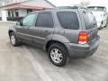 Dark Shadow Grey Metallic - Escape Limited 4WD Photo No. 5