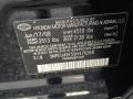 F1: Ebony Black 2009 Hyundai Sonata SE V6 Color Code