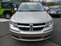 Light Sandstone Metallic - Journey SXT AWD Photo No. 8