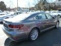 Nebula Gray Pearl - LS 460 L AWD Photo No. 4