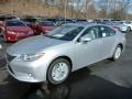 Silver Lining Metallic - ES 350 Photo No. 8