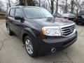 Dark Amber Metallic 2013 Honda Pilot EX-L 4WD Exterior