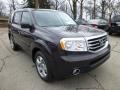 Dark Amber Metallic 2013 Honda Pilot EX-L 4WD Exterior