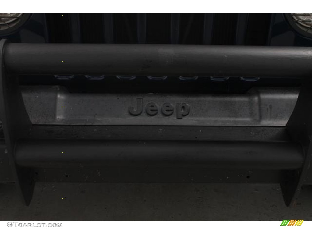 2004 Wrangler SE 4x4 - Patriot Blue Pearl / Dark Slate Gray photo #13