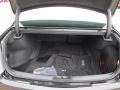 Black Trunk Photo for 2012 Chrysler 300 #77161136