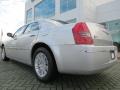 Bright Silver Metallic - 300 Touring Photo No. 3