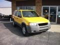 2002 Chrome Yellow Ford Escape XLT V6 4WD #77107791