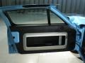 Ebony Black 2006 Ford GT Heritage Door Panel