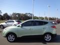Kiwi Green 2013 Hyundai Tucson GLS Exterior