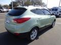 2013 Kiwi Green Hyundai Tucson GLS  photo #9