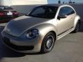 Moonrock Silver Metallic - Beetle 2.5L Photo No. 4