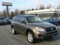 Pyrite Metallic - RAV4 I4 4WD Photo No. 1