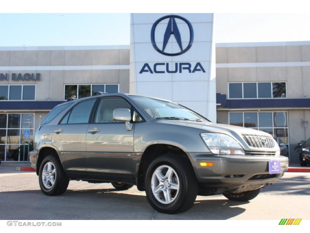 2002 RX 300 AWD - Mineral Green Opalescent / Ivory photo #1