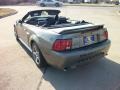 2002 Mineral Grey Metallic Ford Mustang GT Convertible  photo #3