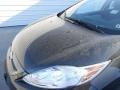 2013 Tuxedo Black Ford Fiesta SE Hatchback  photo #12