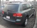 Reed Green Metallic - Touareg V6 Photo No. 4