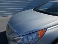 Radiant Silver - Sonata SE Photo No. 12