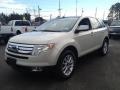 Light Sage Metallic 2007 Ford Edge SEL AWD Exterior