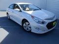 Porcelain White Pearl - Sonata Hybrid Photo No. 1