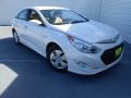 Porcelain White Pearl - Sonata Hybrid Photo No. 2