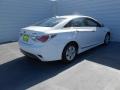Porcelain White Pearl - Sonata Hybrid Photo No. 4