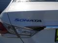 Porcelain White Pearl - Sonata Hybrid Photo No. 6