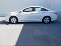 Porcelain White Pearl - Sonata Hybrid Photo No. 8