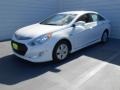Porcelain White Pearl - Sonata Hybrid Photo No. 9