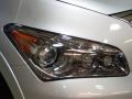 Liquid Platinum - QX 56 4WD Photo No. 33