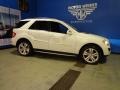 Arctic White - ML 350 4Matic Photo No. 20