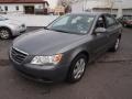Willow Gray - Sonata GLS Photo No. 2