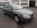 Willow Gray 2010 Hyundai Sonata GLS Exterior