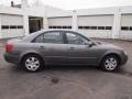 Willow Gray 2010 Hyundai Sonata GLS Exterior