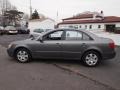 Willow Gray - Sonata GLS Photo No. 9