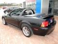 1999 Black Ford Mustang GT Convertible  photo #2