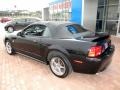 1999 Black Ford Mustang GT Convertible  photo #15